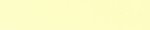 Crocus Yellow